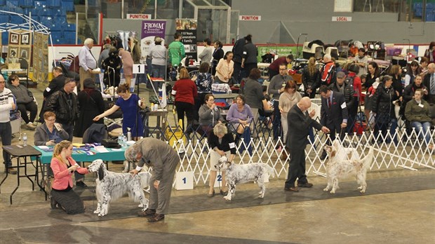 Expo canine 2016